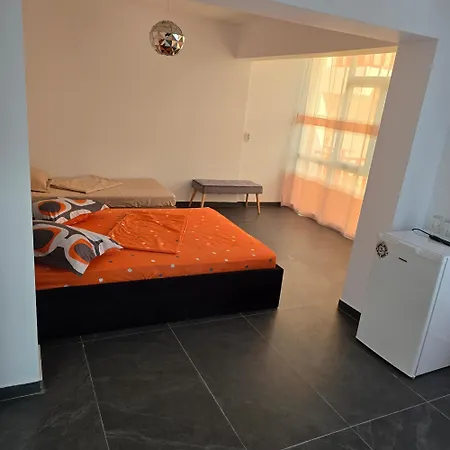 New House Philip 科斯蒂内什蒂
